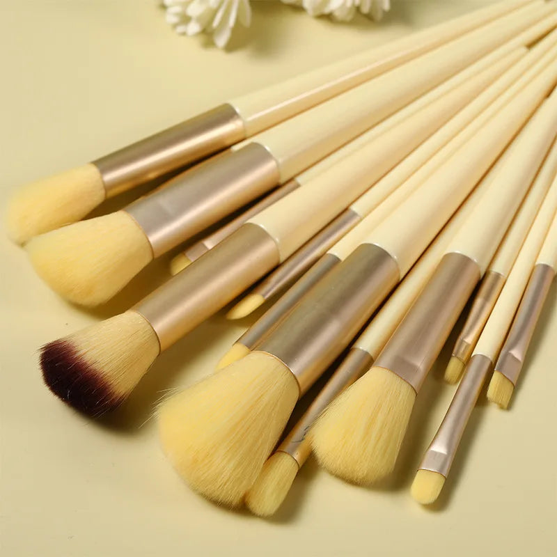 13 PCS Makeup Brushes Set Tools Bag