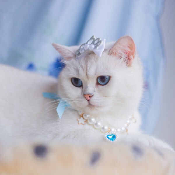 Pet Skirt Cat Fashion Cute Dress - Image 8