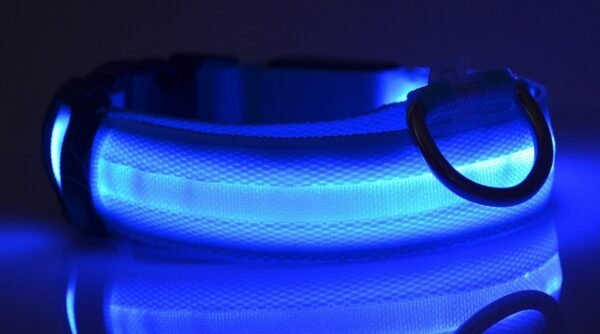Nylon LED Pet Dog Luminous Collar Night Safety Flashing Glow in Dark Dog Cat Leash Adjustable Pet Supplies - Image 8