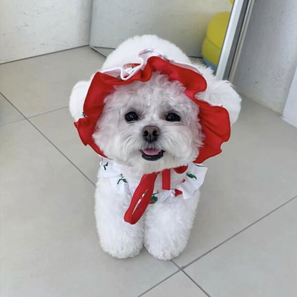 New Puppy Cute Cherry Swimsuit Dress - Image 7